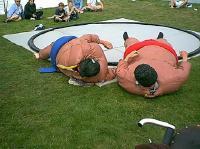 Sumo Wrestling