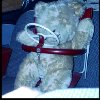 bamse